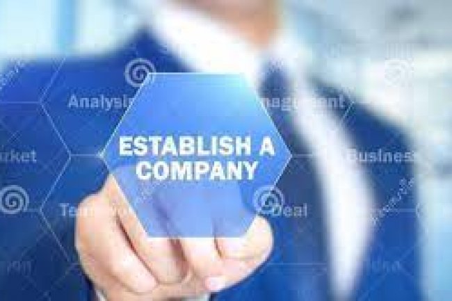 Foreign Investment and Company Establishment